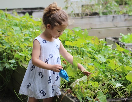 Girl watering plants