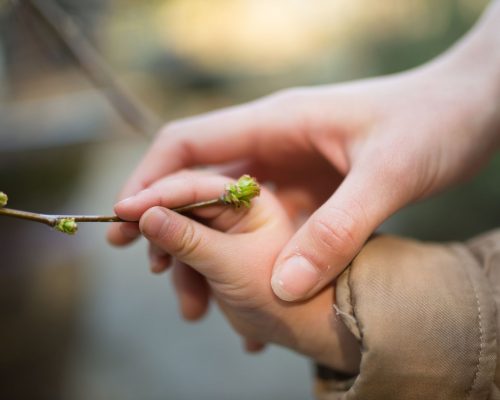 15-boy-holding-a-branch-mommy-holding-his-hand-2 15-boy-holding-a-branch-mommy-holding-his-hand-2