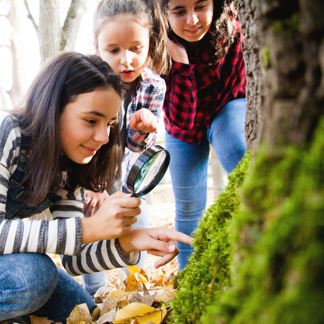 Sharing “Land as First Teacher”